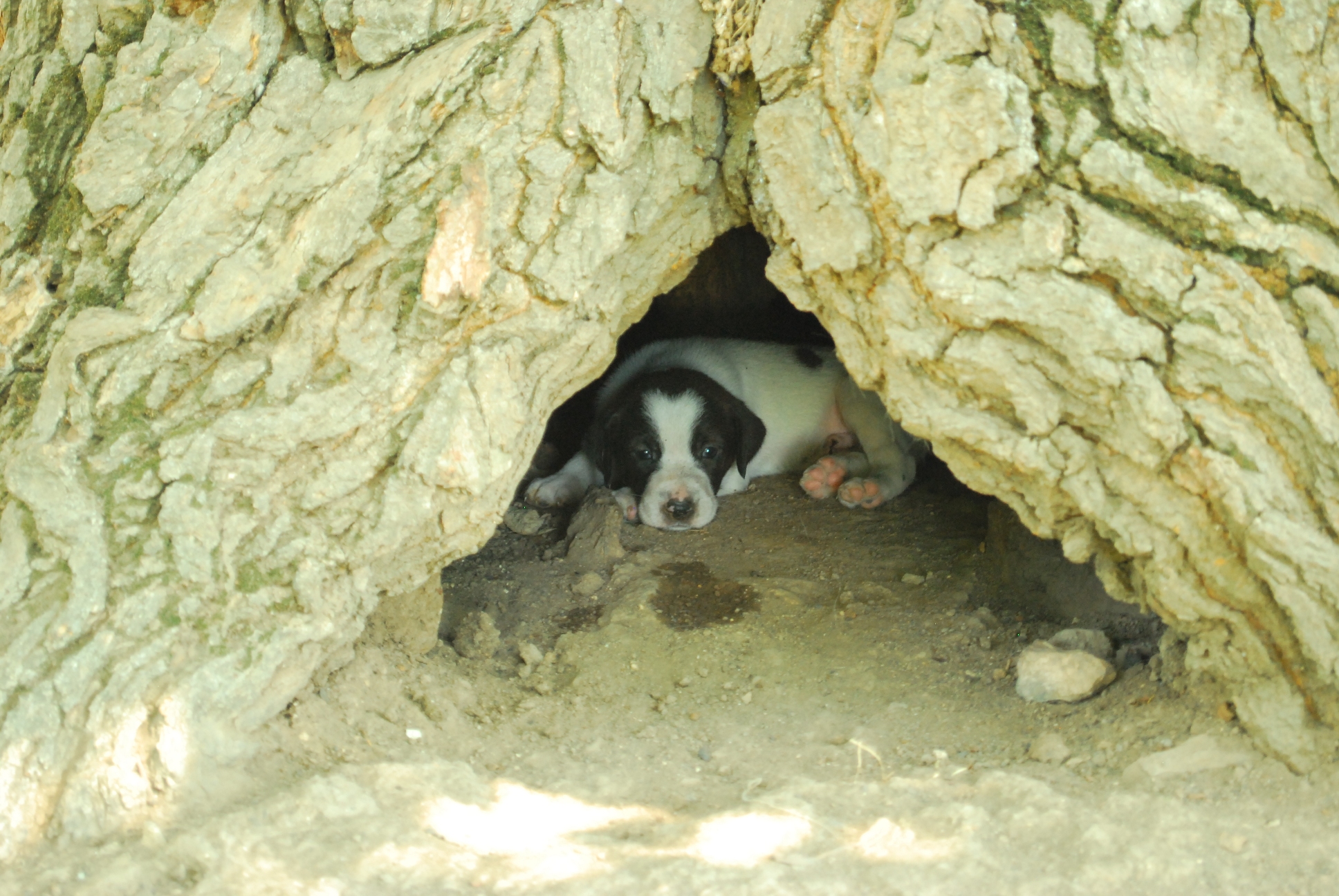 DSC_0716.JPG