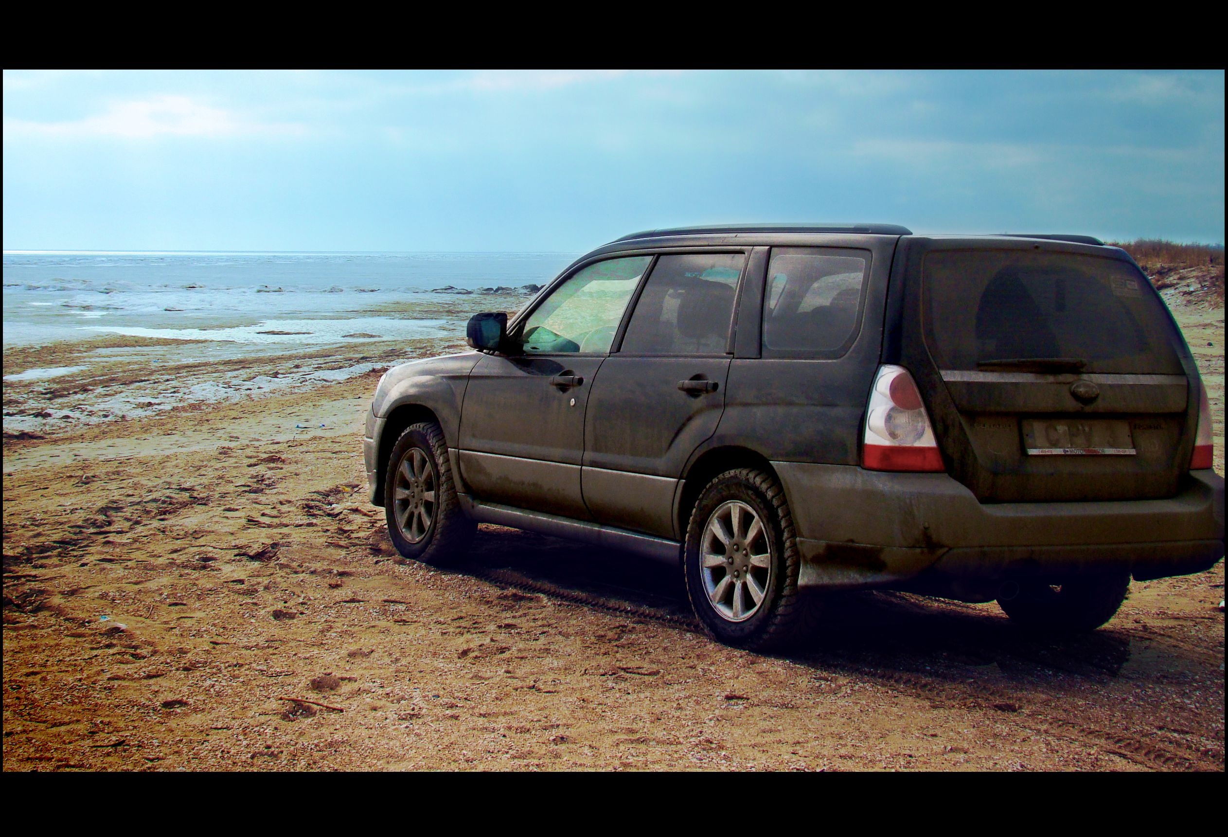 forester6.jpg