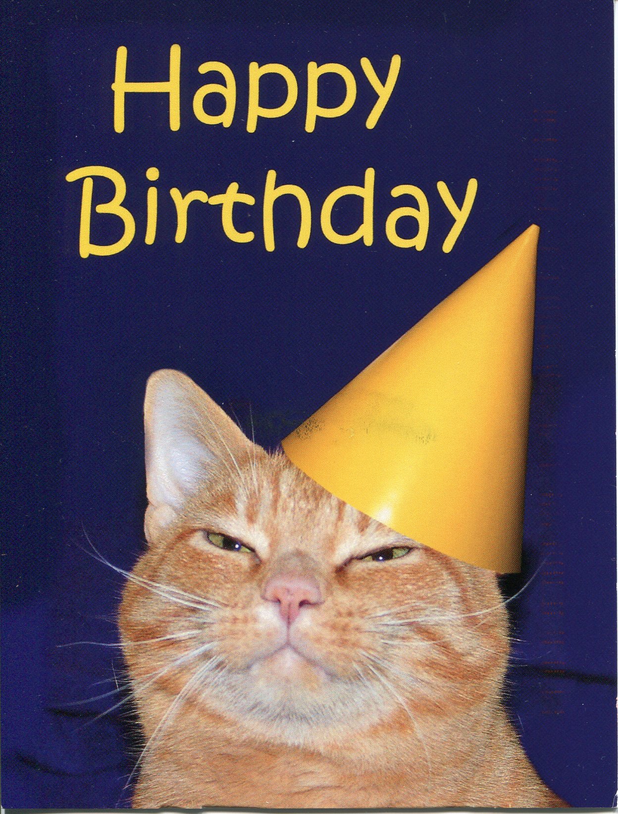 usa-happy-birthday-kitty.jpg